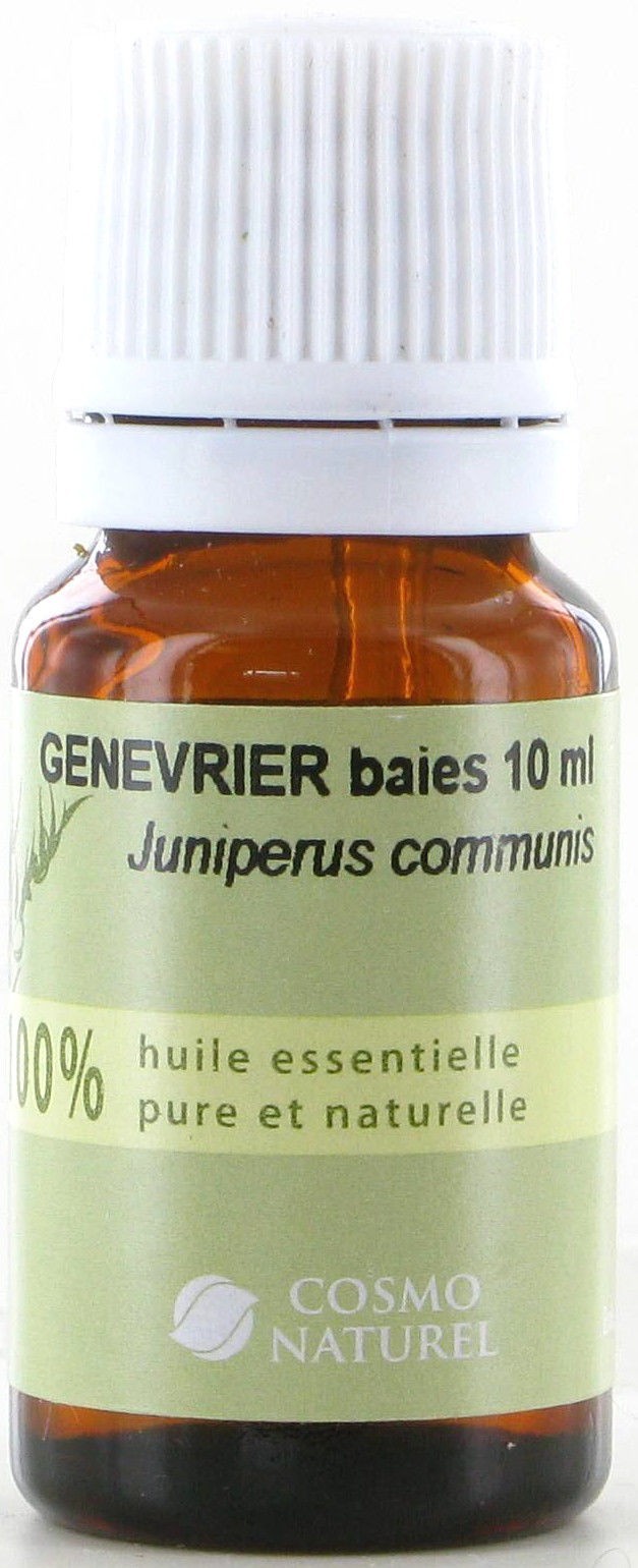 Genevrier/ Jeneverbes (Juniperus Communis)