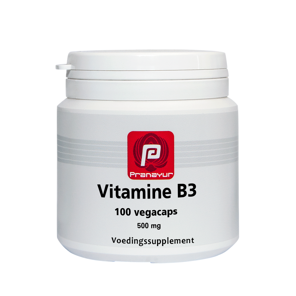 Pranayur Vitamine B3 500 mg - 100 caps.